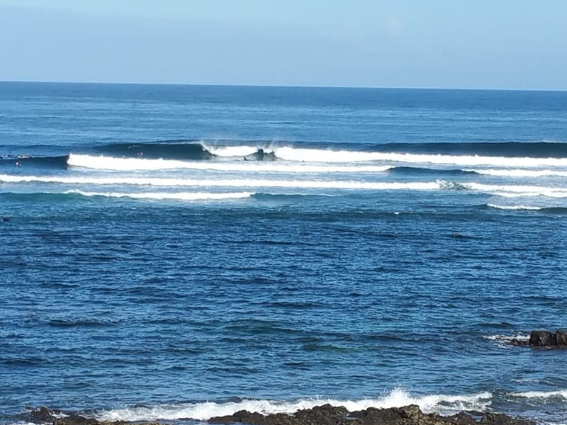 surf in Fuerteventura on January